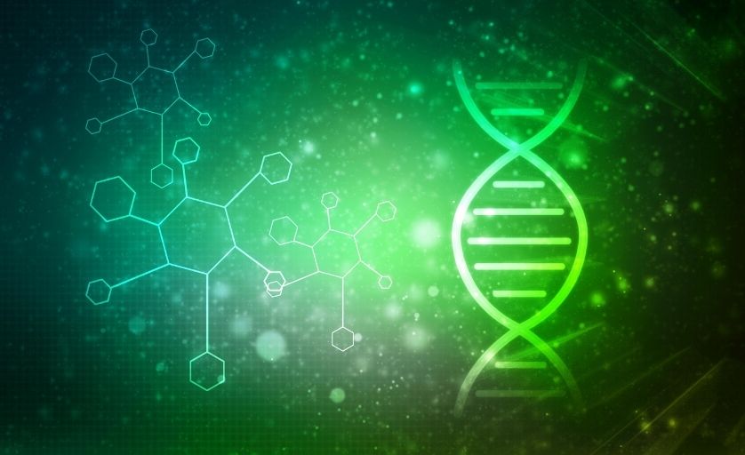 Phát hiện mới về chuỗi DNA trong cơ thể